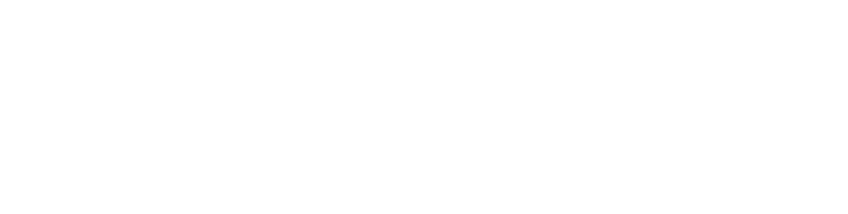 Revive Auto Detailing